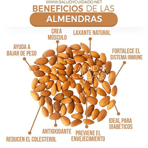 Beneficios De Las Almendras Y Sus Propiedades