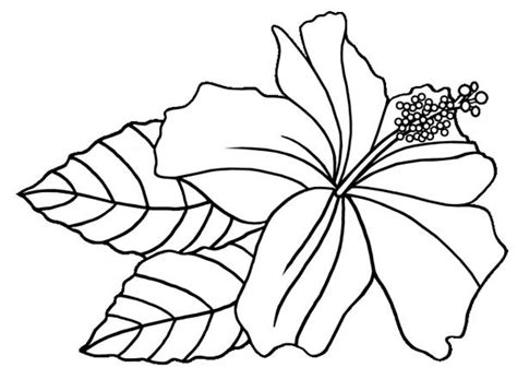 In this awesome printable pack of hawaii coloring pages, you'll get a hawaii word search, hawaii worksheets for kids, printable map of hawaii islands, and tons of other fun hawaiian coloring sheets. Hawaiian Flower Coloring Pages - GetColoringPages.com