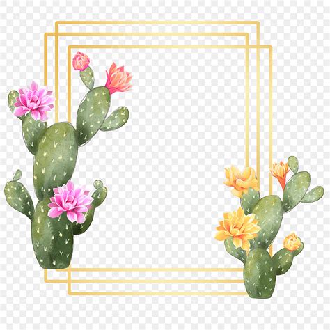 Frontera De Planta De Cactus En Acuarela Png Dibujos Acuarela Cactus