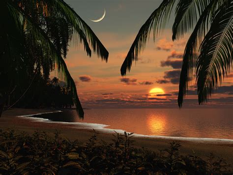sol  lua na praia wallpapers