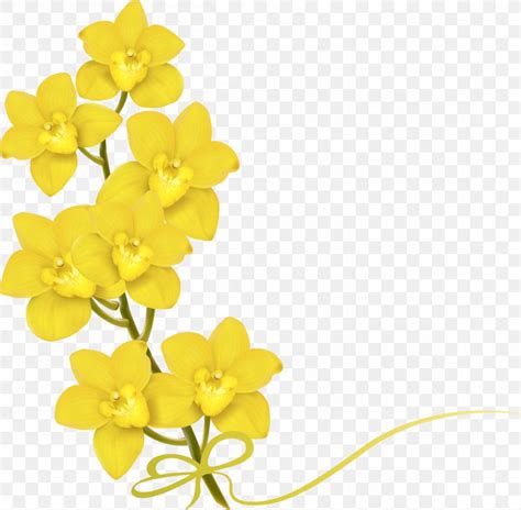 Flower Yellow Stock Photography Euclidean Vector Png 1204x1180px