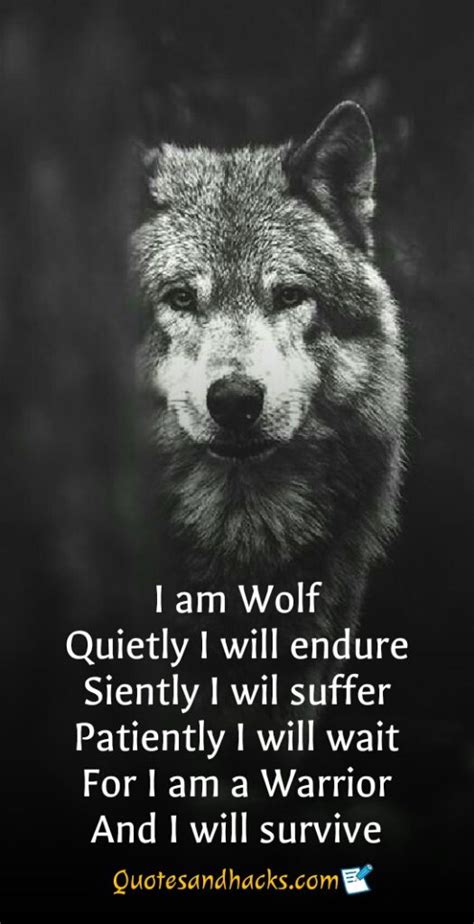 Lone Wolf Quotes That Will Trigger Your Mind