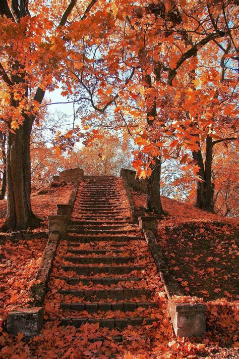 15 Selected Autumn Wallpaper Aesthetic Pinterest You Can Get It Free Of