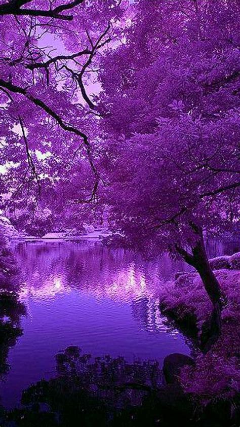 Purple Landscape Fotografia De Paisagem Imagens Fantásticas Fotos
