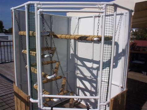 How To Build Iguana Cages From