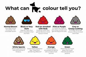 Color Of Your Chart
