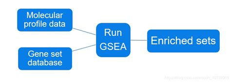 Vertices total_tasks failed_attempts killed_tasks duration(ms) cpu_time(ms) gc_time(ms) input_records jcmd process_id/main_class команда. 基因富集分析 GSEA for time-course_xiaowei3223的博客-CSDN博客