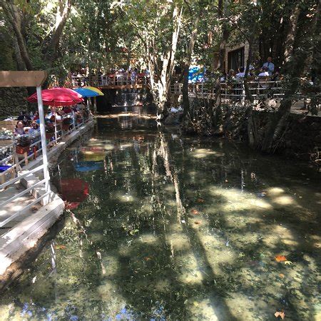 Shalalat gardens al shatby •. Shallalat Al Zarka, Baakleen - Restaurant Reviews, Phone ...