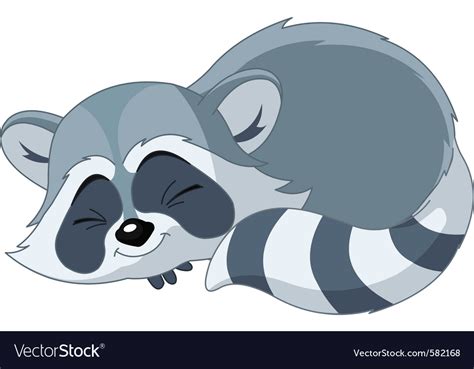 Raccoons Where To Sleep