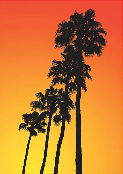 Top 60 Hollywood California Clip Art Vector Graphics And