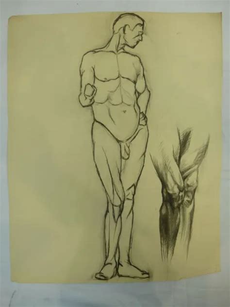 Pencil Drawing Sketch Male Nude Estate Of Unknown Artists