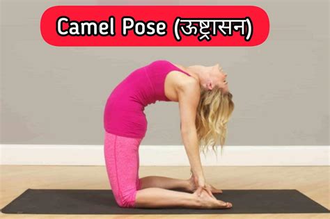 Floating Camel Pose Step By Step And 8 Benefits Sharpmuscle
