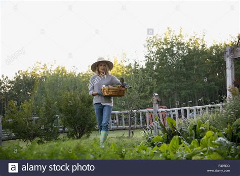 Woman Carrying Basket In Vegetable Garden Stock Photo Alamy