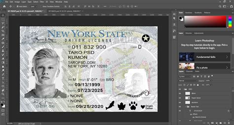 New York Driver License Editable Psd Template