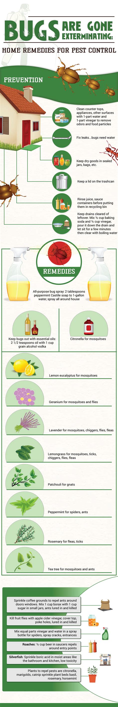 Chapter 7 protecting yourself (pesticide). 23 Do It Yourself Pest Control Tips INFOGRAPHIC