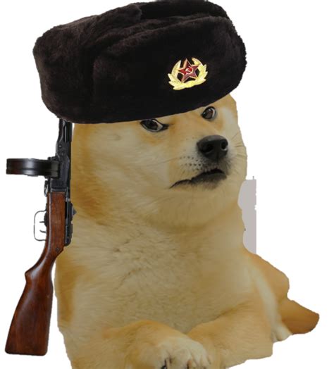 Great news!!!you're in the right place for doge hat. Doge With Hat