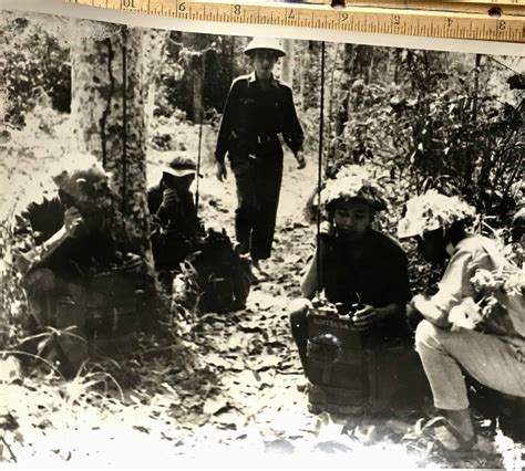 X Photograph Of Viet Cong Communications Section With Captured Radios Enemy Militaria