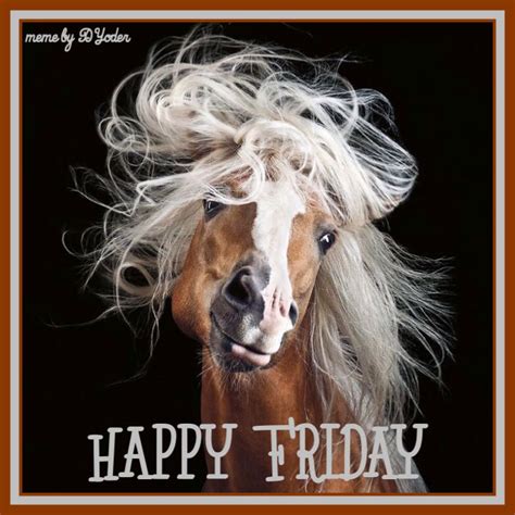 Happy Friday Horse Horses Pretty Horses Animal Photography