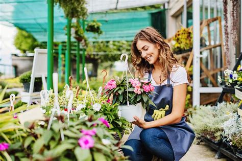From your friends at the home & garden center. Lowes vs. Home Depot for Plants and Gardening | Cheapism.com