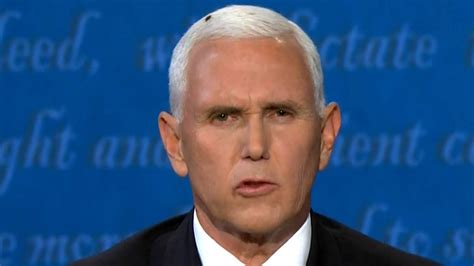 fly becomes star of u s vice presidential debate after landing on pence s head national