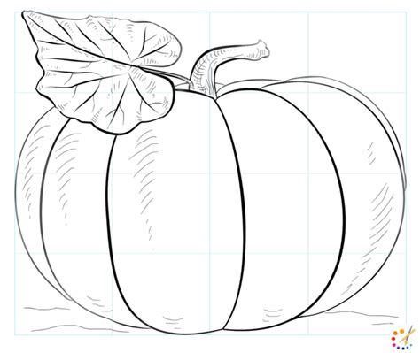 How To Draw A Pumpkin Step By Step For Kids And Beginners