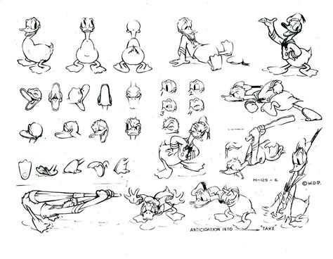 How To Draw Donald Duck Model Sheets And Action Poses And Various
