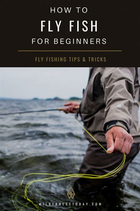 How To Fly Fish A Beginners Guide To Fly Fishing On Lakes And Rivers