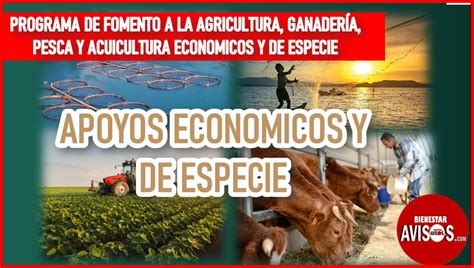 ≫ Programa De Fomento A La Agricultura Ganadería Pesca Y Acuicultura