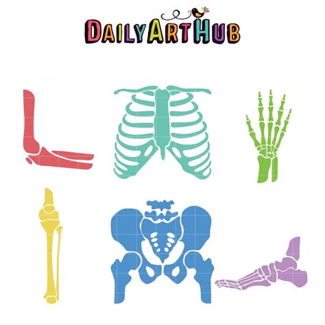 Human Bones Clip Art Set Daily Art Hub Graphics Alphabets And Svg