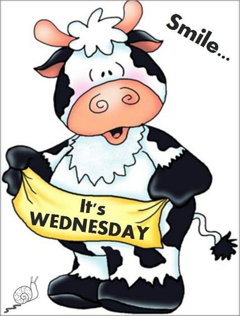 Pin By Petra Dre On Days Of The Week Happy Wednesday Cow Cow Art