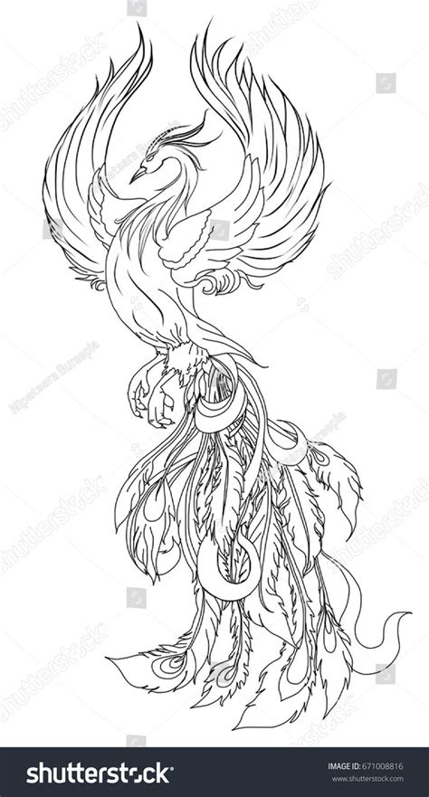 Through these special characters ff will help you. Phoenix Fire bird illustration and character design.Hand ...