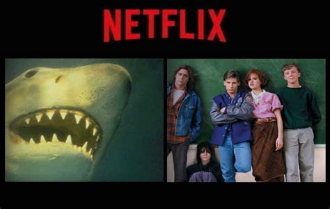 Os Títulos Que Serão Removidos Da Netflix Nesta Semana 05 A 1110