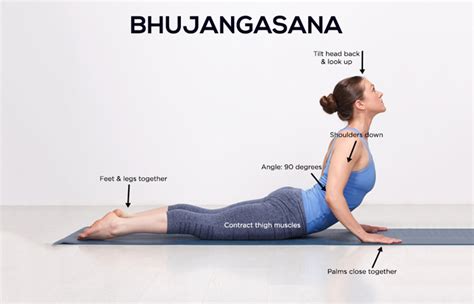 Bhujangasana Cobra Pose Steps Cautions Benefits Finess Yoga