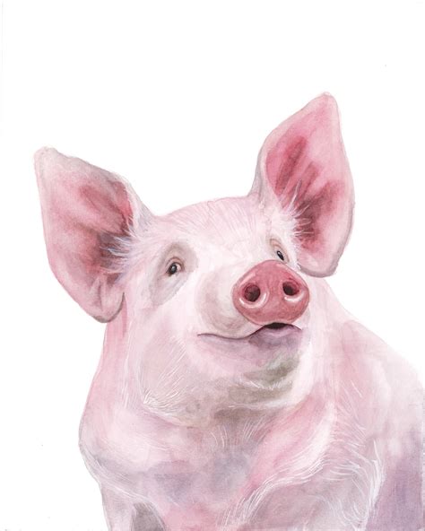 Pig Watercolor Portrait Print 11x14 Etsy