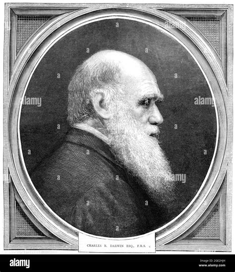 Charles Darwin The Origins Of Species Cut Out Stock Images And Pictures