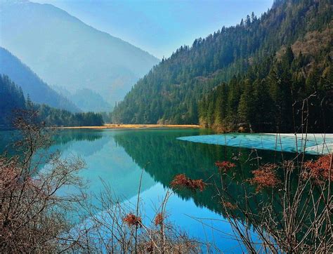 Arrow Bamboo Lake Jiuzhaigou County All You Need To Know Before You Go