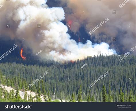 97 Wildfire Red Cross Images Stock Photos And Vectors Shutterstock