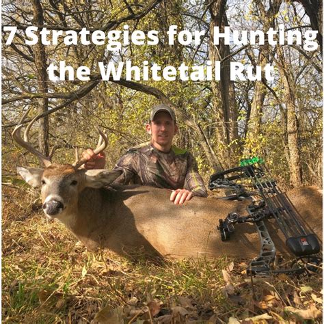 7 Strategies For Hunting The Whitetail Rut Bowhunting Depot