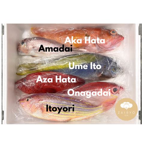 Kyushu Fresh Fish Box Air Flown And Sashimi Grade