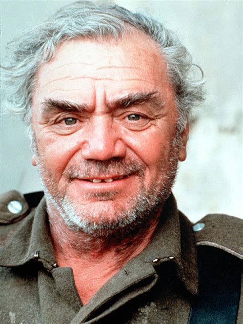 Download Ernest Borgnine Old Veteran Actor Wallpaper Wallpapers Com