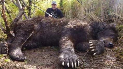 World Record Grizzly Bear