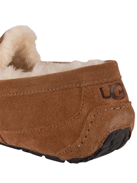 Ugg Ascot Suede Slippers Chestnut Standout