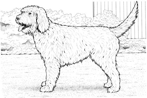 Color pictures, email pictures, and more with these dogs coloring pages. Dog Breed Coloring Pages