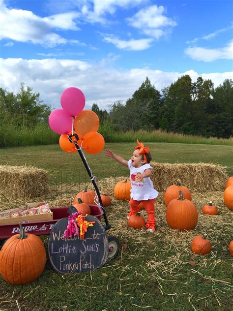 Pumpkin And Pink Party First Birthday Party Pumpkin Party Our Little