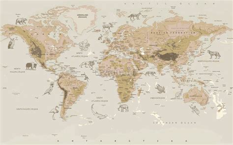 Buy Murwall Map Wallpaper Political World Map Wall Mu