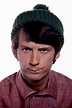 Mike Nesmith - 1966 | Michael nesmith, Davy jones monkees, The monkees