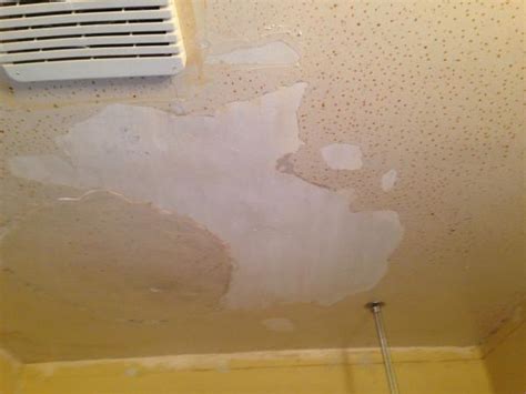 More expensive, hard to install yourself, can be refinished multiple times, will probably outlive you. Ceiling Repair - DoItYourself.com Community Forums