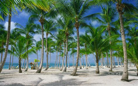 50 Bing Beach Images Wallpaper On Wallpapersafari