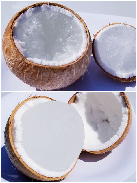 The Lower Photo Of This Frozen Coconut Looks Like It Was Censored R