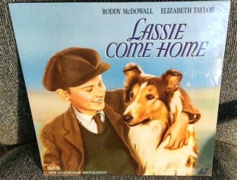 Lassie Come Home Laserdisc Not A Dvd Roddy Mcdowall Liz Taylor New Ebay
